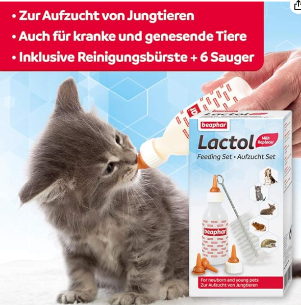 Beaphar Lactol Feeding Set - Complete Feeding Kit for Newborn Kittens, Puppies & Small Animals
